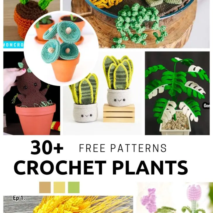 Taking care of plants is no easy feat. Crochet plants are the perfect solution for you plant parent wannabes! The evergreen gift and forever garden that never dies.