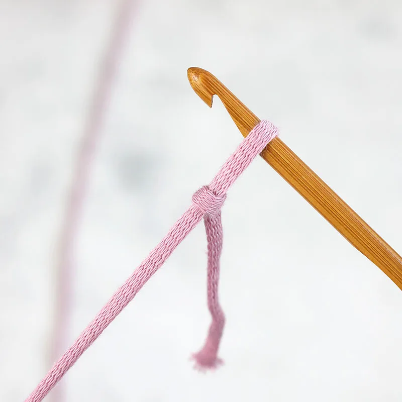 Insert the crochet hook into the loop of the slip knot.