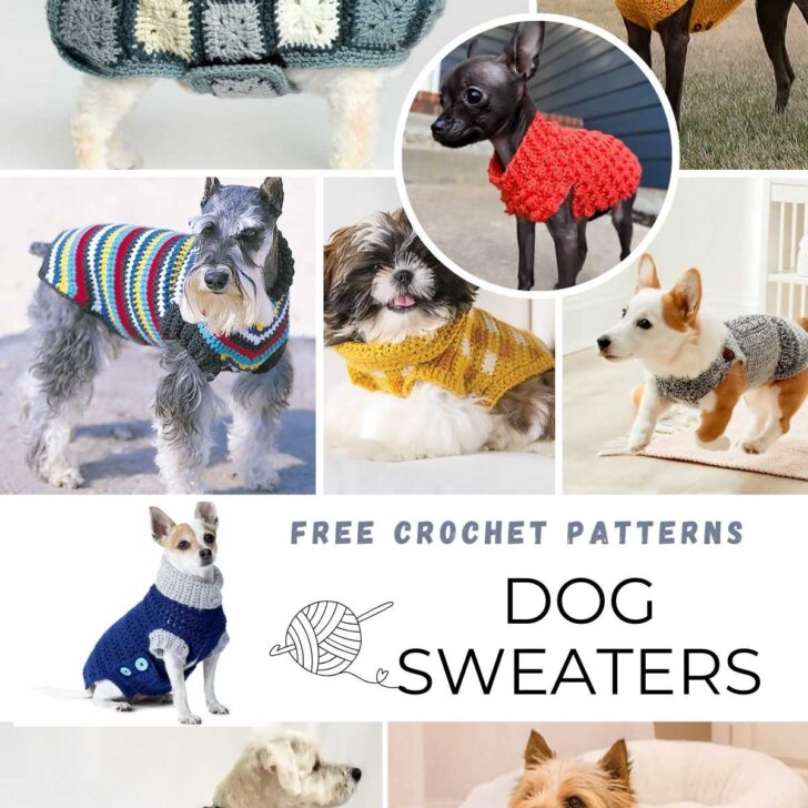 34 Warm Crochet Dog Sweater Patterns