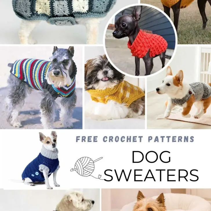 34 Warm Crochet Dog Sweater Patterns